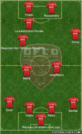 DFCO Formation 2015