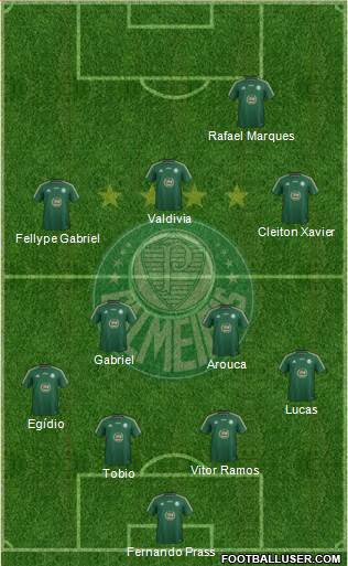 SE Palmeiras Formation 2015