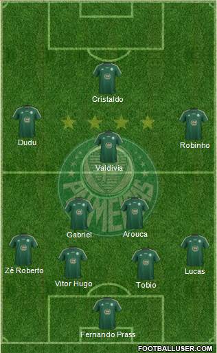 SE Palmeiras Formation 2015