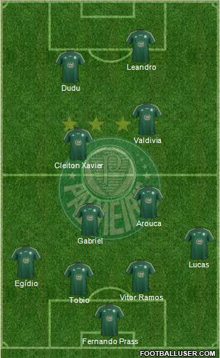 SE Palmeiras Formation 2015