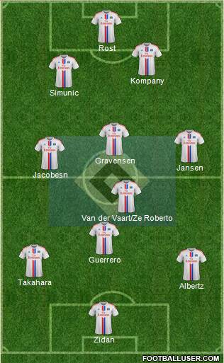 Hamburger SV Formation 2015