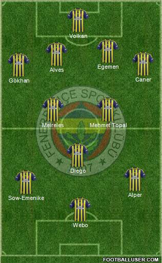 Fenerbahçe SK Formation 2015