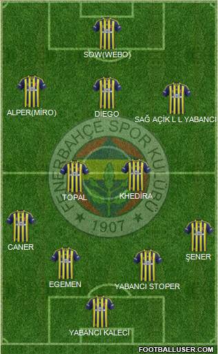 Fenerbahçe SK Formation 2015