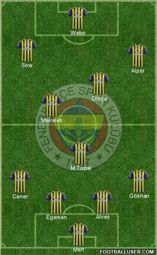 Fenerbahçe SK Formation 2015