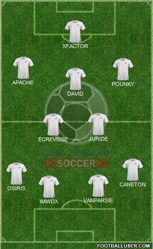New Zealand Formation 2015
