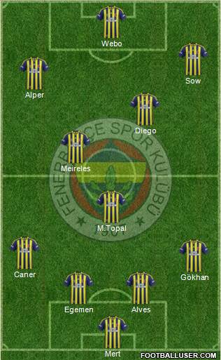 Fenerbahçe SK Formation 2015