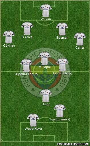 Fenerbahçe SK Formation 2015