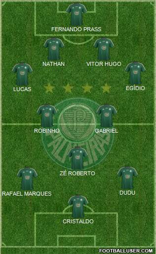SE Palmeiras Formation 2015