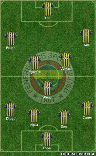 Fenerbahçe SK Formation 2015