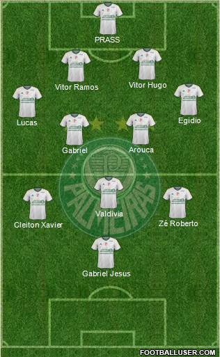 SE Palmeiras Formation 2015