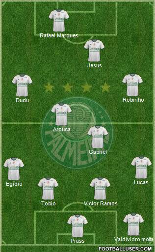 SE Palmeiras Formation 2015