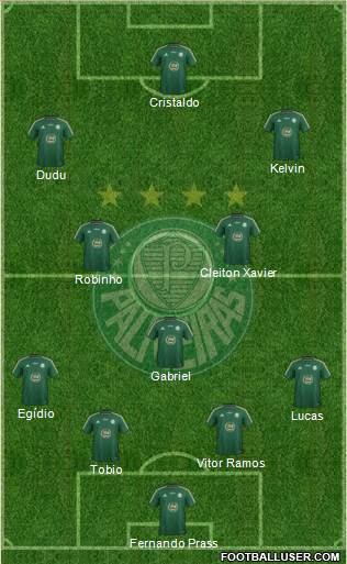 SE Palmeiras Formation 2015
