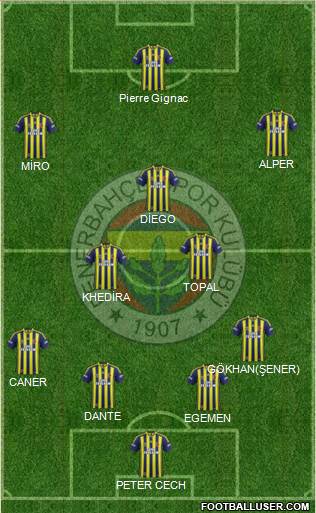 Fenerbahçe SK Formation 2015