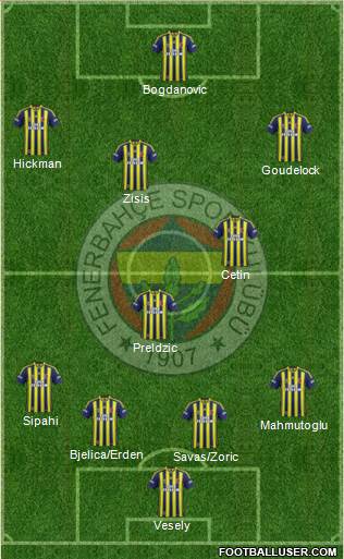 Fenerbahçe SK Formation 2015