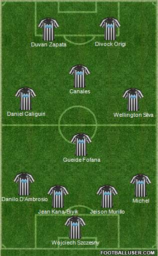 Newcastle United Formation 2015