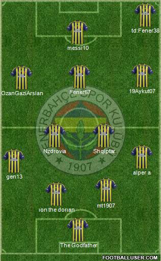 Fenerbahçe SK Formation 2015