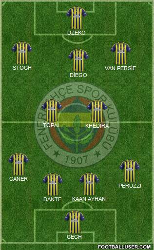 Fenerbahçe SK Formation 2015
