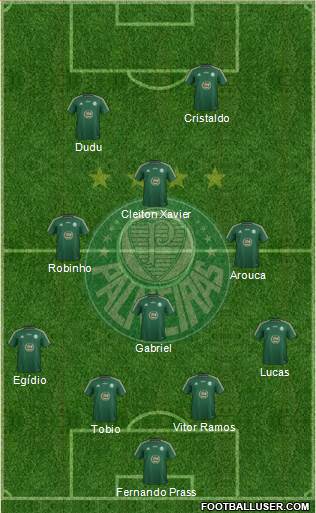 SE Palmeiras Formation 2015