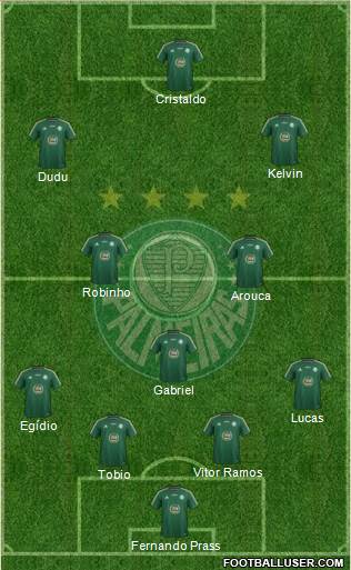 SE Palmeiras Formation 2015