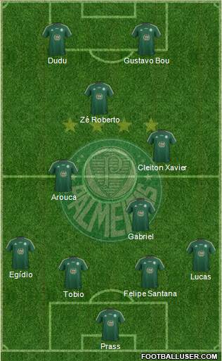 SE Palmeiras Formation 2015