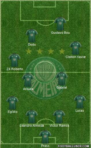SE Palmeiras Formation 2015