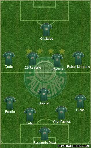 SE Palmeiras Formation 2015