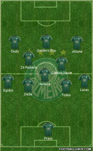 SE Palmeiras Formation 2015