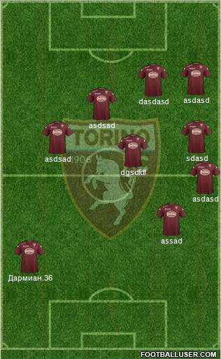 Torino Formation 2015