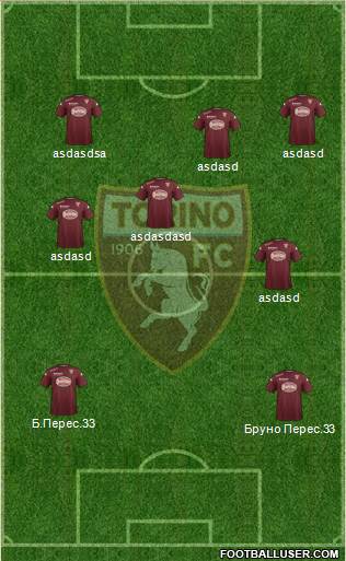 Torino Formation 2015