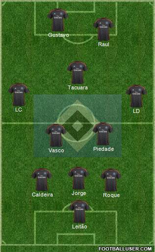 Hamburger SV Formation 2015