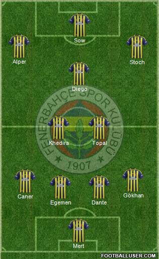 Fenerbahçe SK Formation 2015