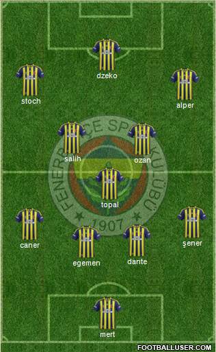 Fenerbahçe SK Formation 2015