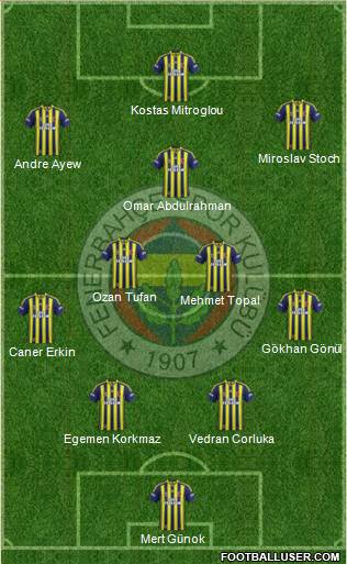 Fenerbahçe SK Formation 2015