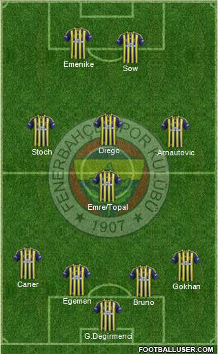 Fenerbahçe SK Formation 2015