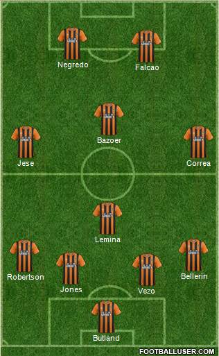 Hull City Formation 2015
