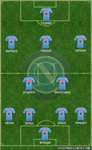 Napoli Formation 2015