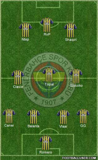 Fenerbahçe SK Formation 2015