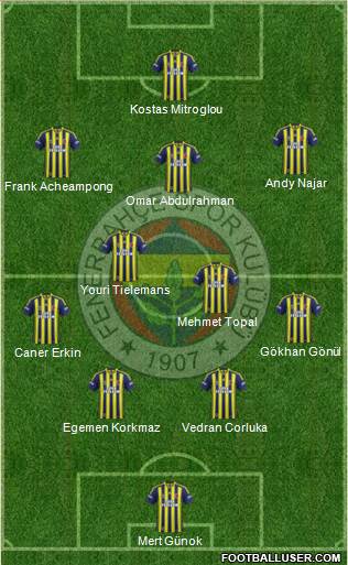 Fenerbahçe SK Formation 2015