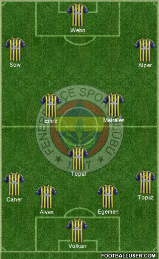 Fenerbahçe SK Formation 2015