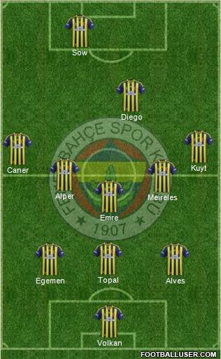 Fenerbahçe SK Formation 2015
