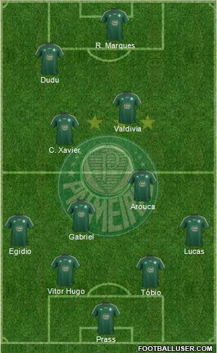SE Palmeiras Formation 2015