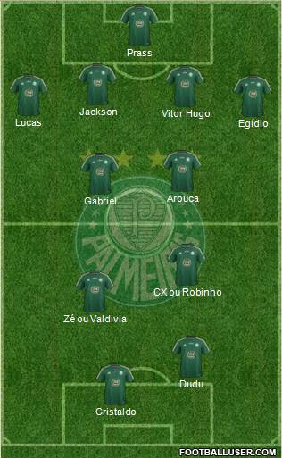 SE Palmeiras Formation 2015