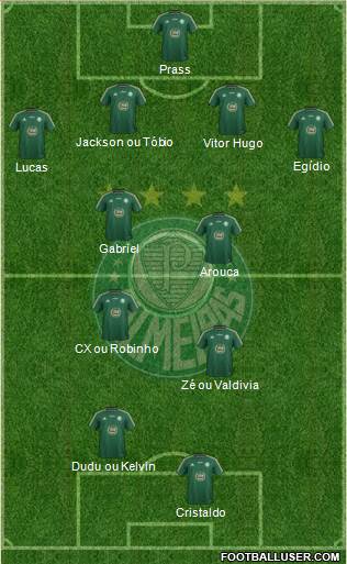 SE Palmeiras Formation 2015