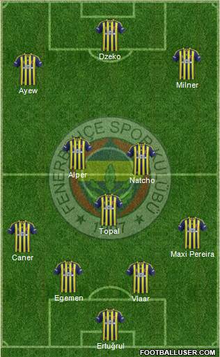 Fenerbahçe SK Formation 2015