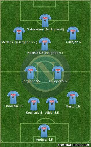 Napoli Formation 2015