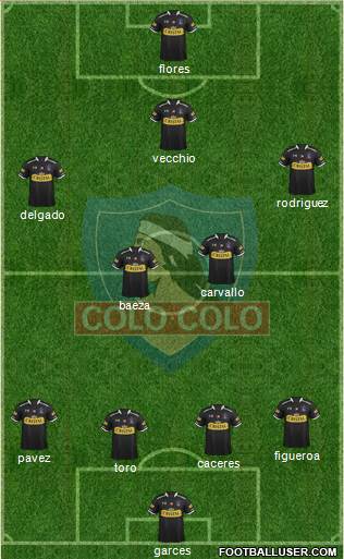 CSD Colo Colo Formation 2015
