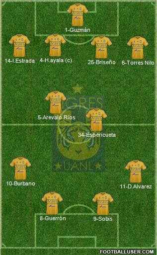 Club Universitario de Nuevo León Formation 2015