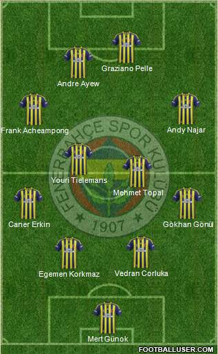 Fenerbahçe SK Formation 2015