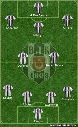 Besiktas JK Formation 2015