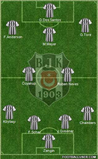 Besiktas JK Formation 2015